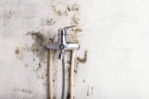 Best Residential Mold Remediation in Oak Hill, WV