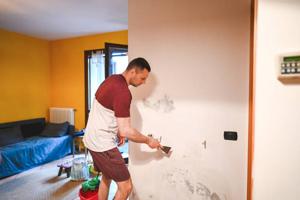 Best Black Mold Remediation in Oak Hill, WV